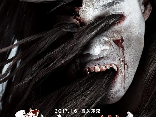 购买假继承公证书